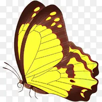 �ɶ�ͺ��� ���� ����-������