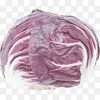 ���Ĳ� ����Ĳ� �߲�-������