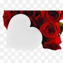 橙色 手臂 肌肉-空若网 橙色 手臂 肌肉-空若网