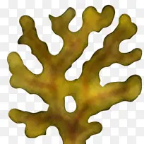 叶子 黄色 树-空若网 叶子 黄色 树-空若网