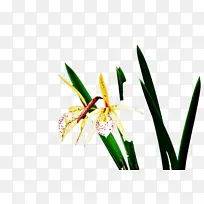 山羊 鼻子 牛羊科-空若网 山羊 鼻子 牛羊科-空若网