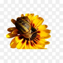 �۷� ���� ��ɫ-������