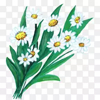 花卉艺术-花卉旗帜-空若网 花卉艺术-花卉旗帜-空若网