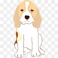 狗 鼻子 小猎犬-空若网 狗 鼻子 小猎犬-空若网