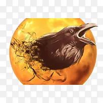 橙色 鸟 乌鸦-空若网 橙色 鸟 乌鸦-空若网