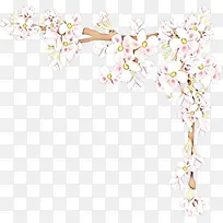 花 植物 树枝-空若网 花 植物 树枝-空若网