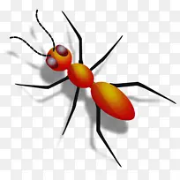 ���� ���� ľ����-������