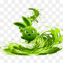 绿色 草 植物-空若网 绿色 草 植物-空若网