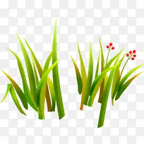 草 绿色 植物-空若网 草 绿色 植物-空若网