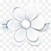 白色 花瓣 植物-空若网 白色 花瓣 植物-空若网