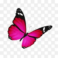 �ɶ�ͺ��� ���� ����-������