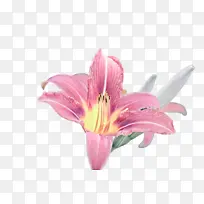 �� �� ��ָ-������