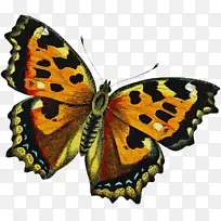 ·É¶êºÍºûµû ºûµû ÐÁÎ÷æ«ÑÇÊô-¿ÕÈôÍø ·É¶êºÍºûµû ºûµû ÐÁÎ÷æ«ÑÇÊô-¿ÕÈôÍø