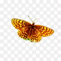 �ɶ�ͺ��� ���� ����-������