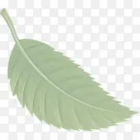 叶子 植物 树-空若网 叶子 植物 树-空若网