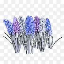 »¨ Þ¹ÒÂ²Ý Ö²Îï-¿ÕÈôÍø »¨ Þ¹ÒÂ²Ý Ö²Îï-¿ÕÈôÍø