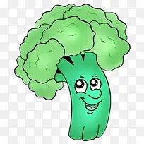 西兰花 叶菜 蔬菜-空若网 西兰花 叶菜 蔬菜-空若网