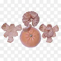 ֲ�� ˮ��-������