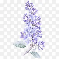 ���� ޹�²� ��-������