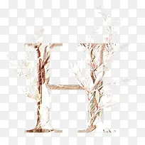 树枝 树 细枝-空若网 树枝 树 细枝-空若网