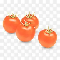 ��ȻʳƷ ���� ��-������