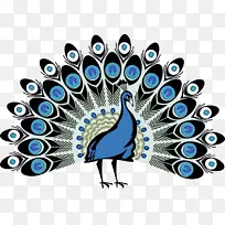 孔雀 羽毛 鸟-空若网 孔雀 羽毛 鸟-空若网