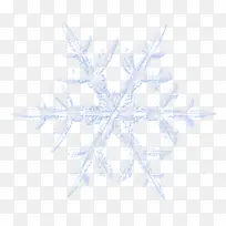 ��ɫ Ҷ�� ѩ��-������