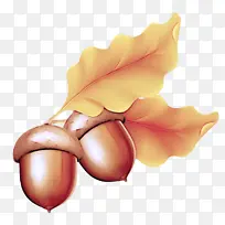 手 手指 植物-空若网 手 手指 植物-空若网