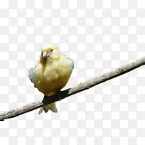 ¹ Ұ������ ��-������