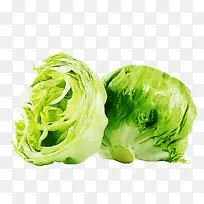 采购产品蔬菜 叶蔬菜 卷心菜-空若网 采购产品蔬菜 叶蔬菜 卷心菜-空若网