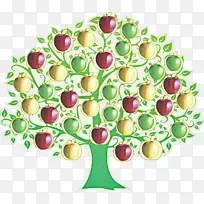 植物 水果 食物-空若网 植物 水果 食物-空若网