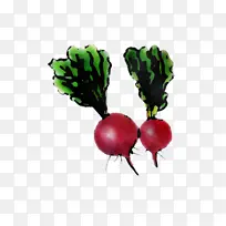 萝卜 甜菜根 蔬菜-空若网 萝卜 甜菜根 蔬菜-空若网