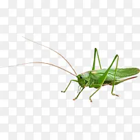 ���� ���� ��״����-������