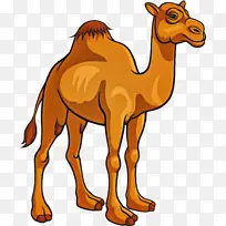 ���� ���������� ��������-������