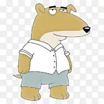 ��ͨ ����-������