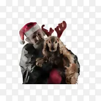 鸟巢 树枝 鸟-空若网 鸟巢 树枝 鸟-空若网