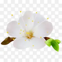 ˮ�ʻ� ���� ʪī-������