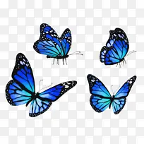 �ɶ�ͺ��� ���� ����-������