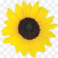 Ë®²Ê» ÑÕÁÏ ÊªÄ«-¿ÕÈôÍø Ë®²Ê» ÑÕÁÏ ÊªÄ«-¿ÕÈôÍø