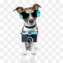 狗 卡通 鼻子-空若网 狗 卡通 鼻子-空若网