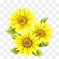 ˮ�ʻ� ���� ʪī-������