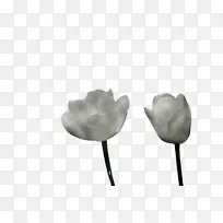 ʳƷ �߲� �ƹ�-������