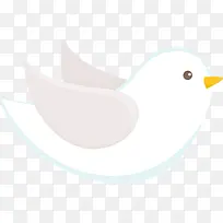 ��ɫ �� �-������