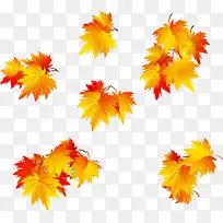 ��ɫ ��ɫ Ҷ��-������