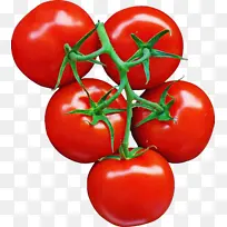 ��ȻʳƷ ��ľ���� ����-������