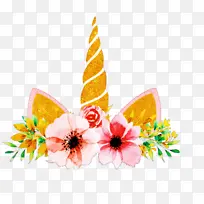 橙色 头饰 植物-空若网 橙色 头饰 植物-空若网