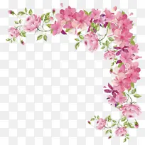 粉色 花朵 植物-空若网 粉色 花朵 植物-空若网