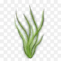 Ë®²Ê» ÑÕÁÏ ÊªÄ«-¿ÕÈôÍø Ë®²Ê» ÑÕÁÏ ÊªÄ«-¿ÕÈôÍø