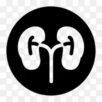 文本 徽标 数字-空若网 文本 徽标 数字-空若网