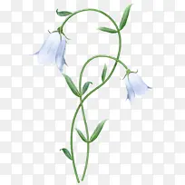 »¨ Ö²Îï »¨¹£-¿ÕÈôÍø »¨ Ö²Îï »¨¹£-¿ÕÈôÍø